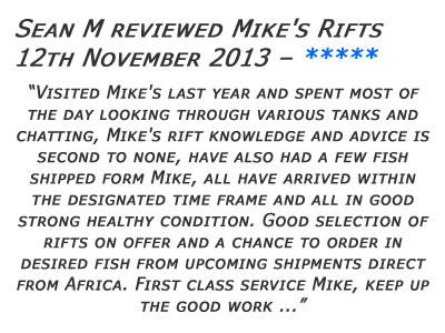 Mikes Rifts Review 11